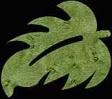 Leaf #1 Coaster Scroll Saw Pattern