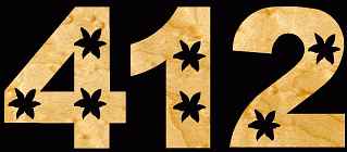 Flower #17 House Number Scroll Saw Pattern