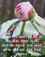 I am the door - John 10:9 - Poster