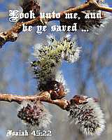 I am God Isaiah 45:22 ? Poster