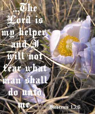 ...The Lord is my helper...  Poster