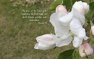 The fear of the Lord... Desktop1680