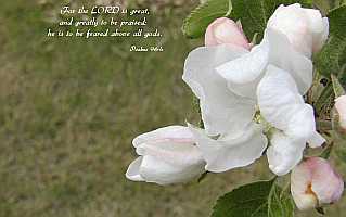 For the LORD is great... Desktop1680