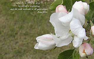 For the LORD is good... Desktop1680