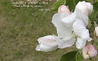 The LORD is my strength and song.Desktop1680