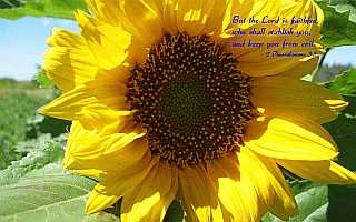But the LORD is faithful... Desktop1680
